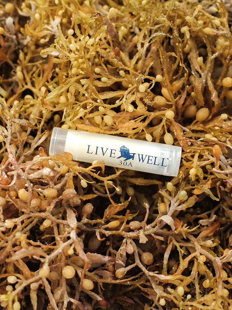 Live Well 30A Chapstick