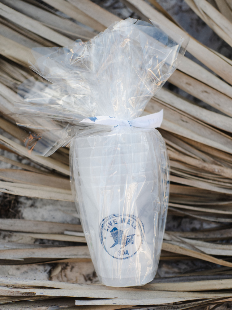 Live Well 30A Circle Logo Frosted Cups